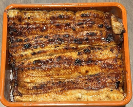 Dinner at Unagi Uomasa (うなぎ 魚政)