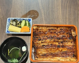 Dinner at Unagi Uomasa (うなぎ 魚政)