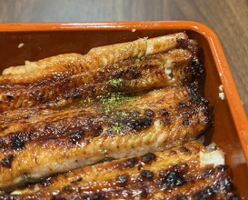 Dinner at Unagi Uomasa (うなぎ 魚政)