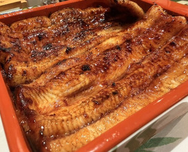 Dinner at Unagi Uomasa (うなぎ 魚政)