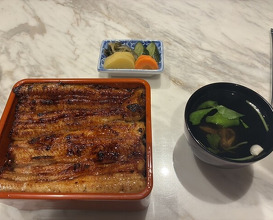 Dinner at Unagi Uomasa (うなぎ 魚政)