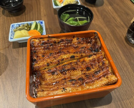 Dinner at Unagi Uomasa (うなぎ 魚政)