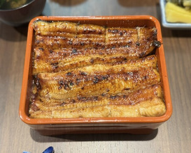 Dinner at Unagi Uomasa (うなぎ 魚政)