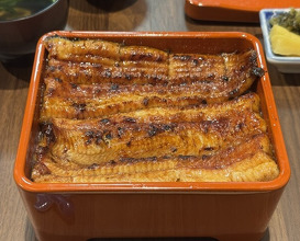 Dinner at Unagi Uomasa (うなぎ 魚政)