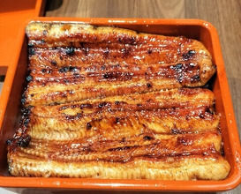 Dinner at Unagi Uomasa (うなぎ 魚政)