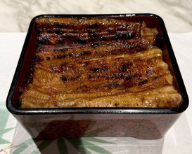 Dinner at Unagi Uomasa (うなぎ 魚政)
