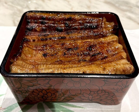 Dinner at Unagi Uomasa (うなぎ 魚政)