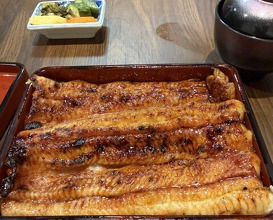 Dinner at Unagi Uomasa (うなぎ 魚政)