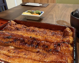 Dinner at Unagi Uomasa (うなぎ 魚政)