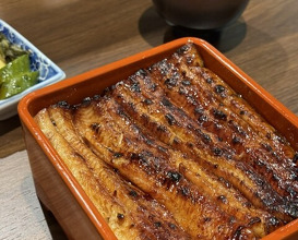 Dinner at Unagi Uomasa (うなぎ 魚政)