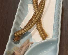 Dinner at Unagi Uomasa (うなぎ 魚政)