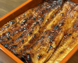 Dinner at Unagi Uomasa (うなぎ 魚政)