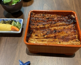 Dinner at Unagi Uomasa (うなぎ 魚政)