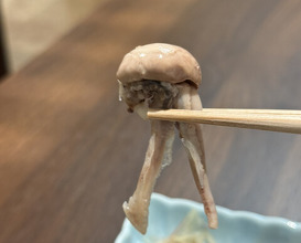 Dinner at Unagi Uomasa (うなぎ 魚政)