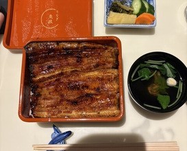 Dinner at Unagi Uomasa (うなぎ 魚政)