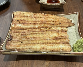 Dinner at Unagi Uomasa (うなぎ 魚政)