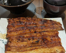 Dinner at Unagi Uomasa (うなぎ 魚政)