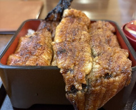 Dinner at Uran (う嵐)