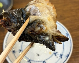 Dinner at Uran (う嵐)