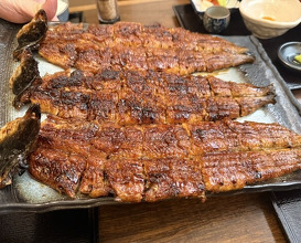 Dinner at Uran (う嵐)
