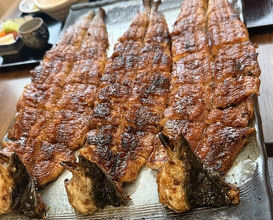 Dinner at Uran (う嵐)