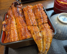 Dinner at Uran (う嵐)