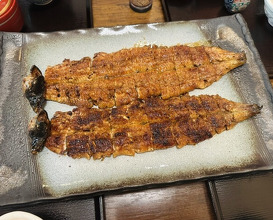 Dinner at Uran (う嵐)