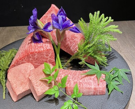 Dinner at USHIGORO S. GINZA (USHIGORO S. GINZA)
