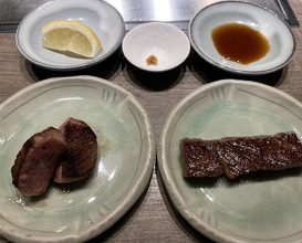 Dinner at USHIGORO S. GINZA (USHIGORO S. GINZA)