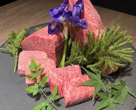 Dinner at USHIGORO S. GINZA (USHIGORO S. GINZA)
