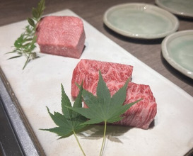 Dinner at USHIGORO S. GINZA (USHIGORO S. GINZA)