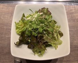 Dinner at USHIGORO S. GINZA (USHIGORO S. GINZA)