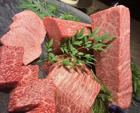 Dinner at USHIGORO S. GINZA (USHIGORO S. GINZA)