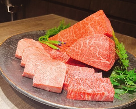 Dinner at USHIGORO S. GINZA (USHIGORO S. GINZA)
