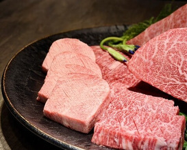 Dinner at USHIGORO S. GINZA (USHIGORO S. GINZA)
