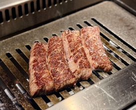 Dinner at USHIGORO S. GINZA (USHIGORO S. GINZA)