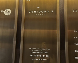 Dinner at USHIGORO S. GINZA (USHIGORO S. GINZA)
