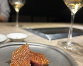 Dinner at USHIGORO S. GINZA (USHIGORO S. GINZA)