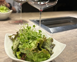 Dinner at USHIGORO S. GINZA (USHIGORO S. GINZA)