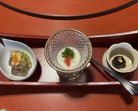 Dinner at Wada Kin (和田金)