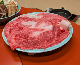 Dinner at Wada Kin (和田金)