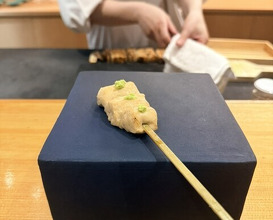 Dinner at Tori Yamamoto (とり やまもと)