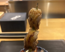 Dinner at Tori Yamamoto (とり やまもと)