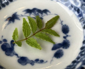 Dinner at Ishiusuhiki Soba Kobo Yama no Mi (石臼挽き蕎麦香房 山の実)