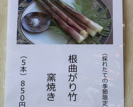 Dinner at Ishiusuhiki Soba Kobo Yama no Mi (石臼挽き蕎麦香房 山の実)