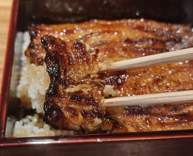 Dinner at Yamasei (山勢)