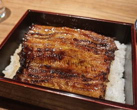 Dinner at Yamasei (山勢)