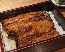 Dinner at Yamasei (山勢)