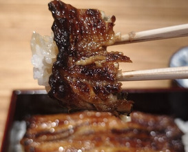 Dinner at Yamasei (山勢)