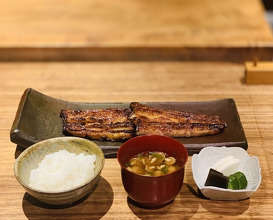 Dinner at Yamasei (山勢)